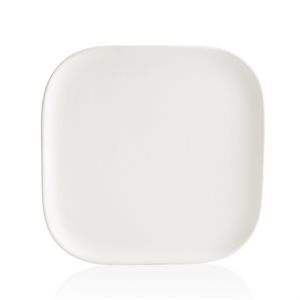 Squircle Dinner Plate 