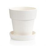 Medium Flower Pot w / Saucer   