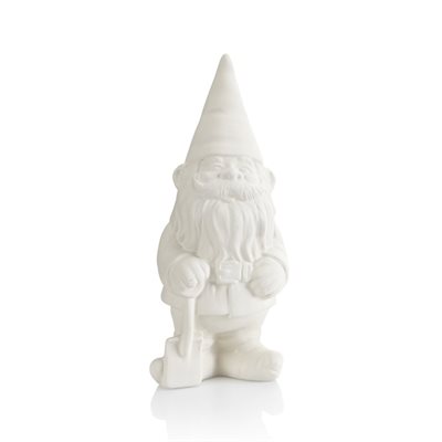 Small Gnome 