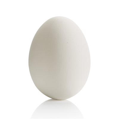 Large Egg